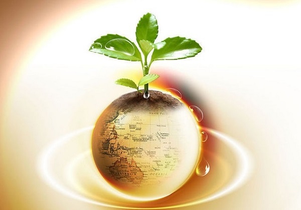 美元指数触底反弹 年末或迎升值契机